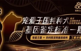《纯种犬品种基因标准》共建计划 正式发布 品种标准从外观表型向基因科学的模式升级