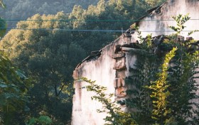 从荒废到复苏：曜隐林场的老龙井1958重生记