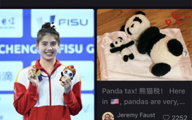 当国宝遇上非遗：爱上淘宝的熊猫公益，网友表示根本停不下来！ 